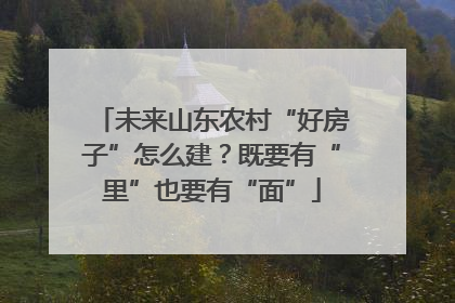 未来山东农村“好房子”怎么建？既要有“里”也要有“面”