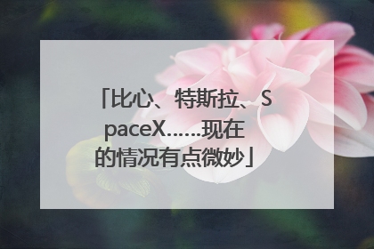 比心、特斯拉、SpaceX……现在的情况有点微妙