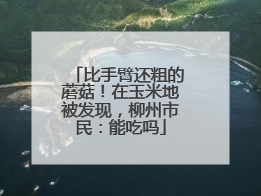 比手臂还粗的蘑菇！在玉米地被发现，柳州市民：能吃吗