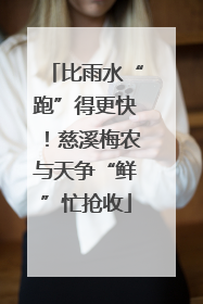 比雨水“跑”得更快！慈溪梅农与天争“鲜”忙抢收