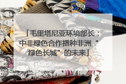 毛里塔尼亚环境部长：中非绿色合作播种非洲“绿色长城”的未来