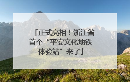 正式亮相！浙江省首个“平安文化地铁体验站”来了