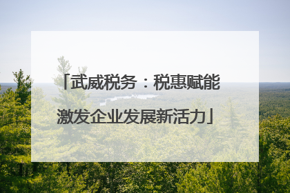 武威税务：税惠赋能 激发企业发展新活力