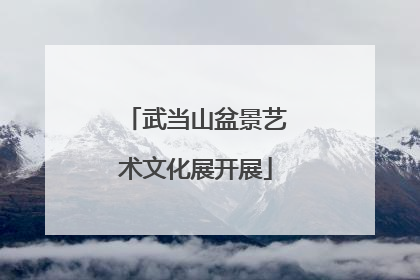 武当山盆景艺术文化展开展