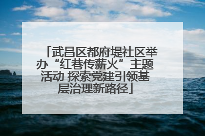 武昌区都府堤社区举办“红巷传薪火”主题活动 探索党建引领基层治理新路径