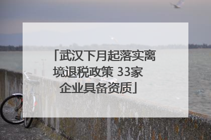 武汉下月起落实离境退税政策 33家企业具备资质