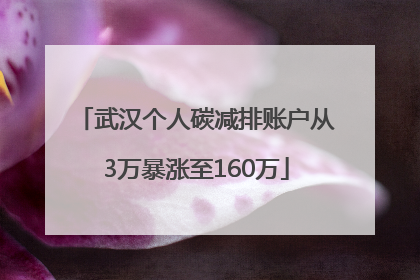 武汉个人碳减排账户从3万暴涨至160万