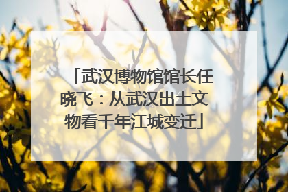 武汉博物馆馆长任晓飞：从武汉出土文物看千年江城变迁