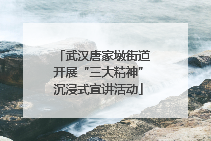 武汉唐家墩街道开展“三大精神”沉浸式宣讲活动