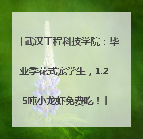 武汉工程科技学院：毕业季花式宠学生，1.25吨小龙虾免费吃！