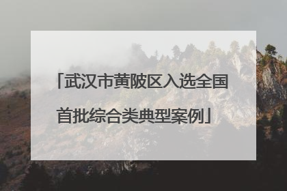武汉市黄陂区入选全国首批综合类典型案例