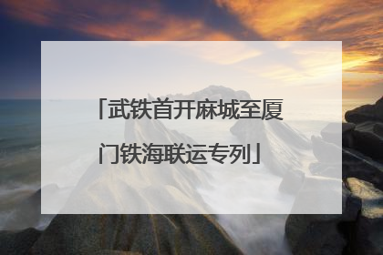 武铁首开麻城至厦门铁海联运专列
