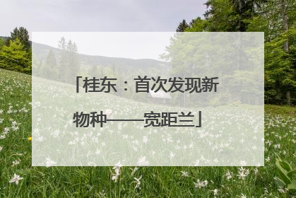 桂东：首次发现新物种——宽距兰