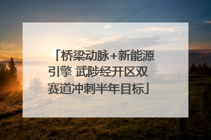 桥梁动脉+新能源引擎 武陟经开区双赛道冲刺半年目标