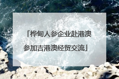 桦甸人参企业赴港澳参加吉港澳经贸交流