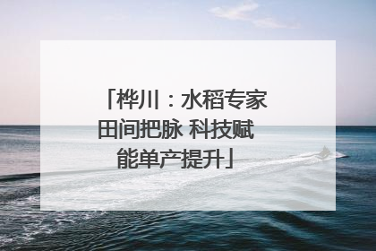 桦川：水稻专家田间把脉 科技赋能单产提升
