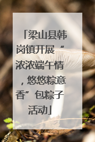 梁山县韩岗镇开展“浓浓端午情，悠悠粽意香”包粽子活动