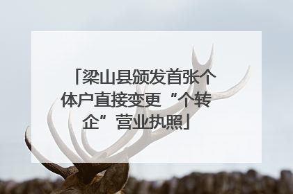 梁山县颁发首张个体户直接变更“个转企”营业执照