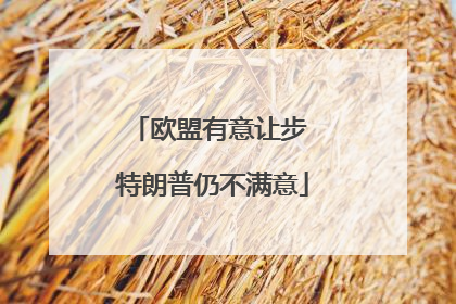 欧盟有意让步 特朗普仍不满意