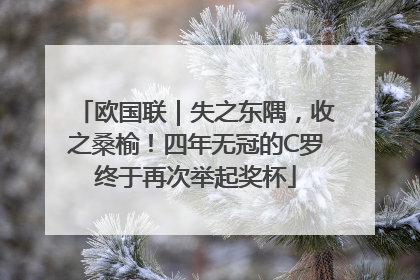 欧国联｜失之东隅，收之桑榆！四年无冠的C罗终于再次举起奖杯