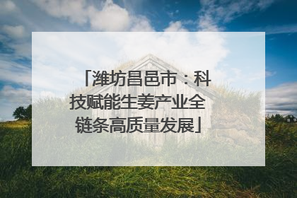 潍坊昌邑市：科技赋能生姜产业全链条高质量发展