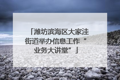 潍坊滨海区大家洼街道举办信息工作“业务大讲堂”