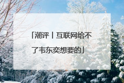 潮评丨互联网给不了韦东奕想要的