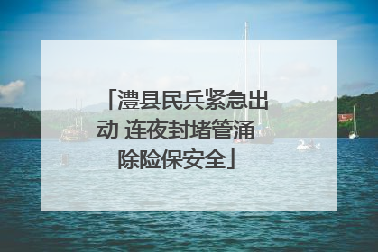 澧县民兵紧急出动 连夜封堵管涌除险保安全