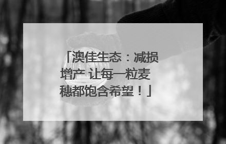 澳佳生态：减损增产 让每一粒麦穗都饱含希望！