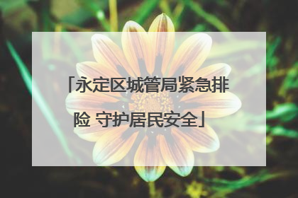 永定区城管局紧急排险 守护居民安全