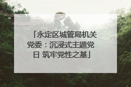永定区城管局机关党委：沉浸式主题党日 筑牢党性之基