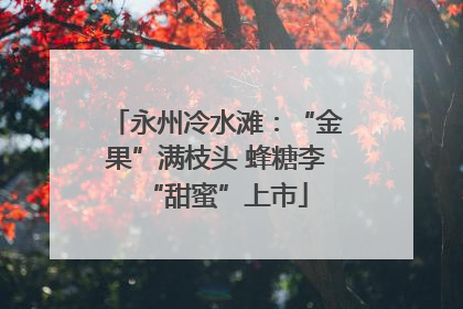永州冷水滩：“金果”满枝头 蜂糖李“甜蜜”上市