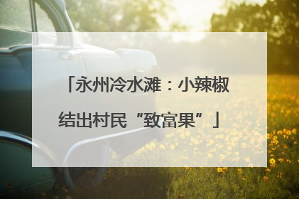 永州冷水滩：小辣椒结出村民“致富果”