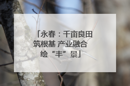 永春：千亩良田筑根基 产业融合绘“丰”景