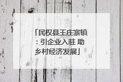 民权县王庄寨镇：引企业入驻 助乡村经济发展