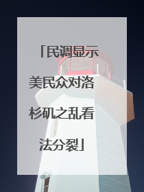 民调显示美民众对洛杉矶之乱看法分裂