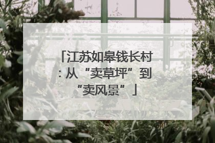 江苏如皋钱长村：从“卖草坪”到“卖风景”