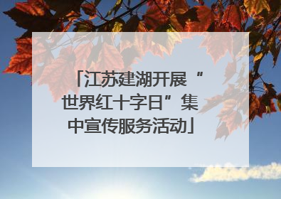 江苏建湖开展“世界红十字日”集中宣传服务活动