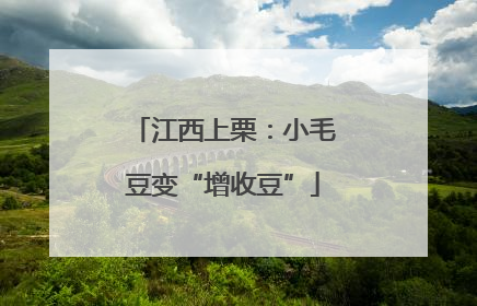 江西上栗：小毛豆变“增收豆”