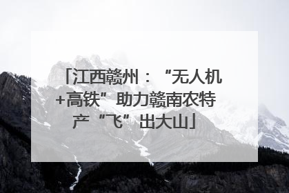 江西赣州：“无人机+高铁”助力赣南农特产“飞”出大山