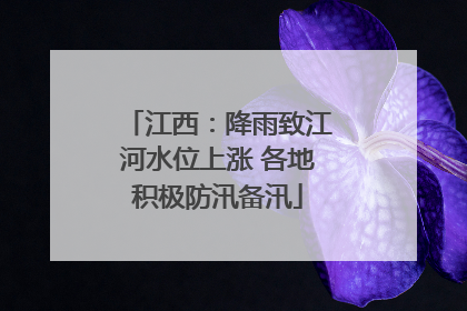 江西：降雨致江河水位上涨 各地积极防汛备汛