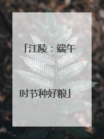 江陵：端午时节种好粮