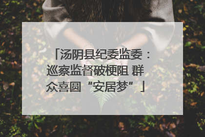 汤阴县纪委监委：巡察监督破梗阻 群众喜圆“安居梦”
