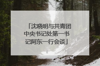 沈晓明与共青团中央书记处第一书记阿东一行会谈