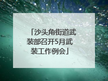 沙头角街道武装部召开5月武装工作例会