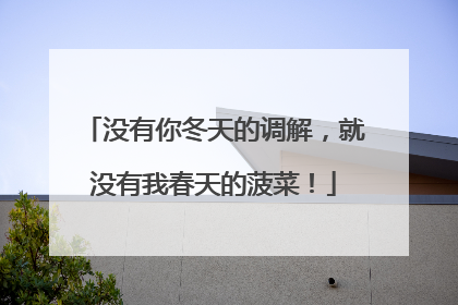 没有你冬天的调解，就没有我春天的菠菜！