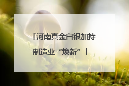 河南真金白银加持制造业“焕新”
