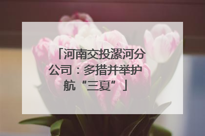 河南交投漯河分公司：多措并举护航“三夏”