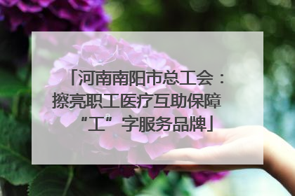 河南南阳市总工会：擦亮职工医疗互助保障“工”字服务品牌