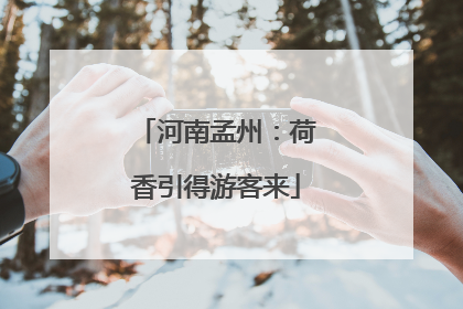 河南孟州：荷香引得游客来